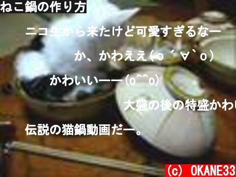 ねこ鍋の作り方  (c) OKANE33